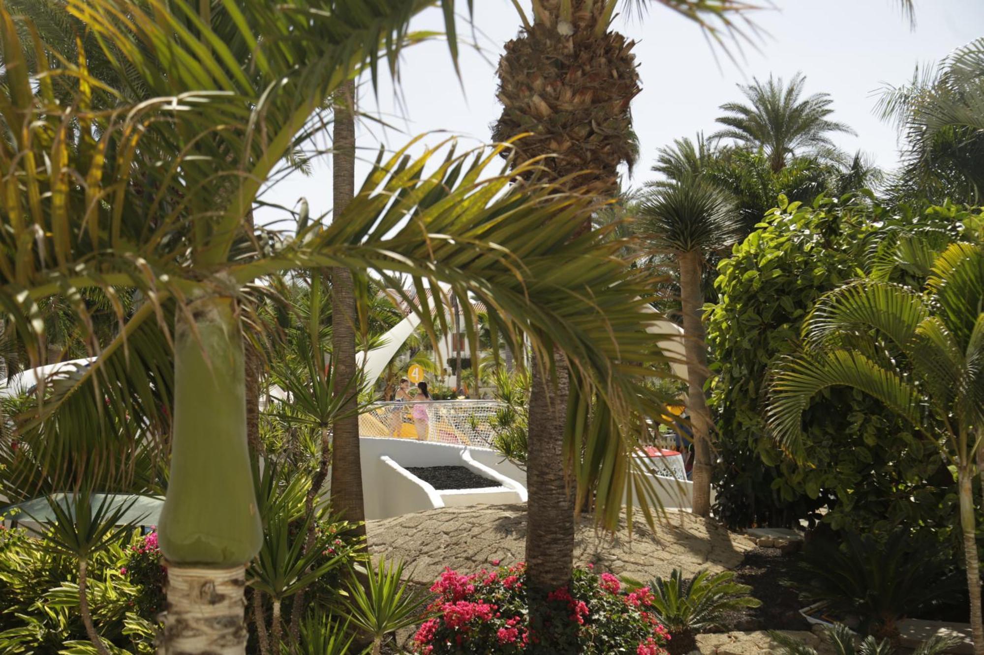 Parque Santiago 3 Luxery Apartment, Playa Las Americas, Arona, Tenerife Playa de las Americas  Exterior photo